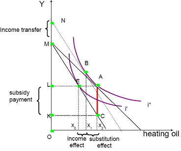 1870_Minimum welfare level for the poorest senior household.png